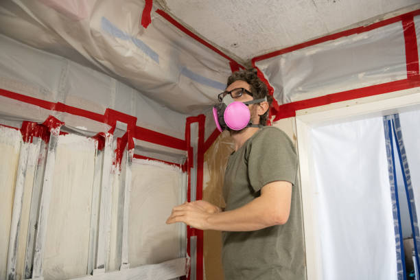 Best Real Estate Mold Inspection  in Remlap, AL