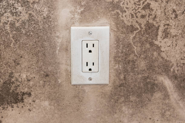 Best Emergency Mold Remediation  in Remlap, AL